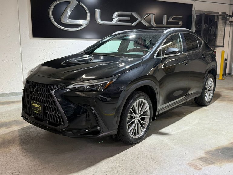 2022 Lexus NX 350h