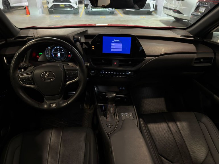 2024 Lexus UX 250h AWD