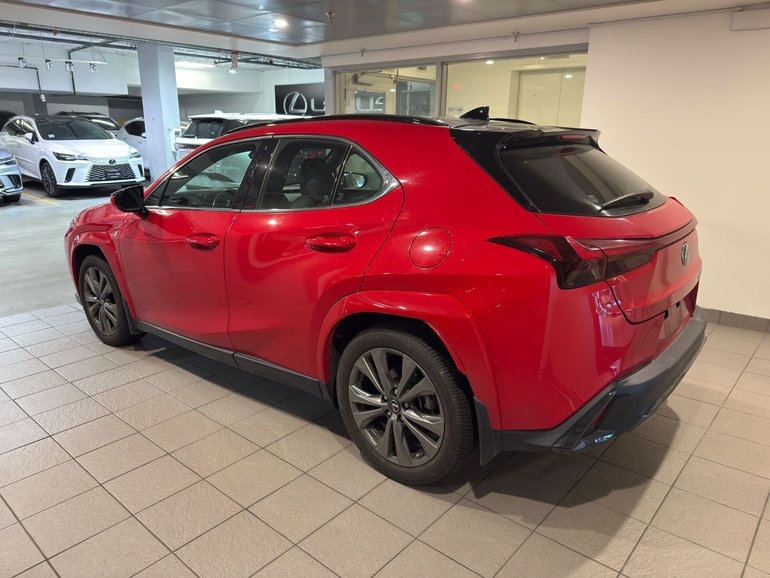 2024 Lexus UX 250h AWD