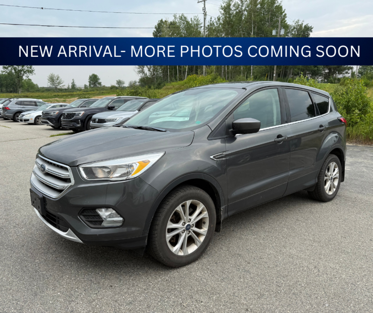 2019 Ford Escape SE
