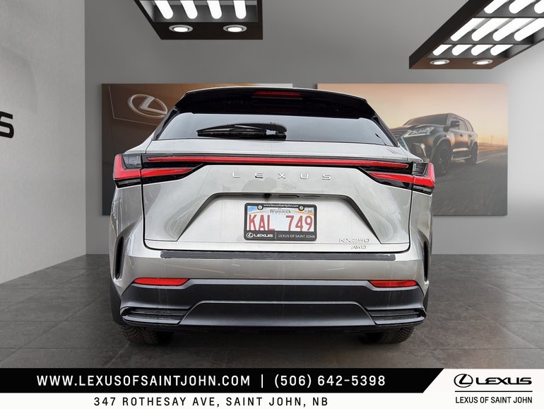 2023 Lexus NX