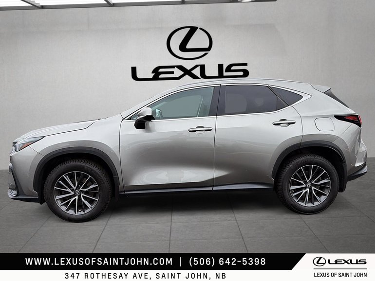 2023 Lexus NX