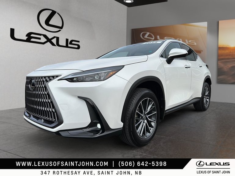 2024 Lexus NX