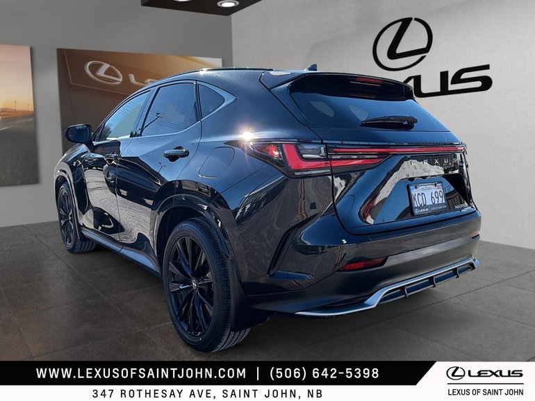 2024 Lexus NX