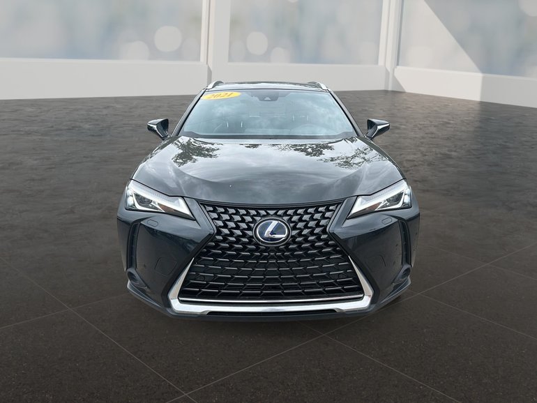 2021 Lexus UX