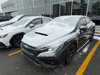 2023 Subaru WRX