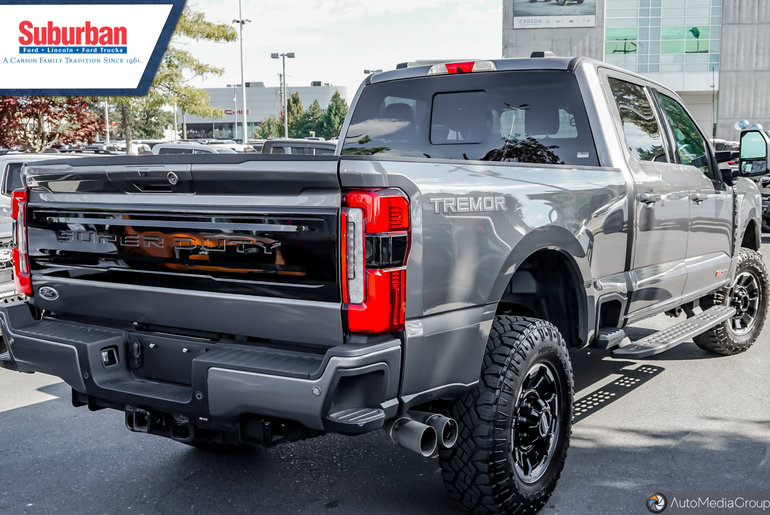 2025 Ford SUPER DUTY F-350 SRW
