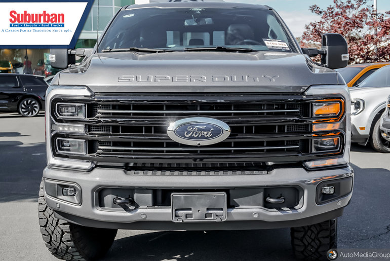 2025 Ford SUPER DUTY F-350 SRW
