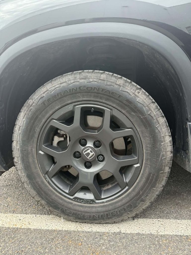 2023 Honda Pilot