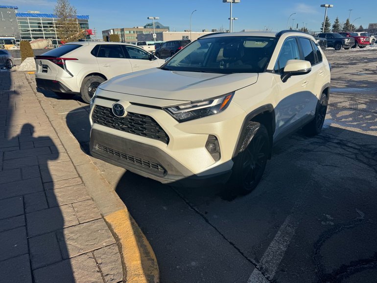 2022 Toyota RAV4