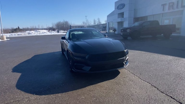 2026 Ford Mustang Fastback