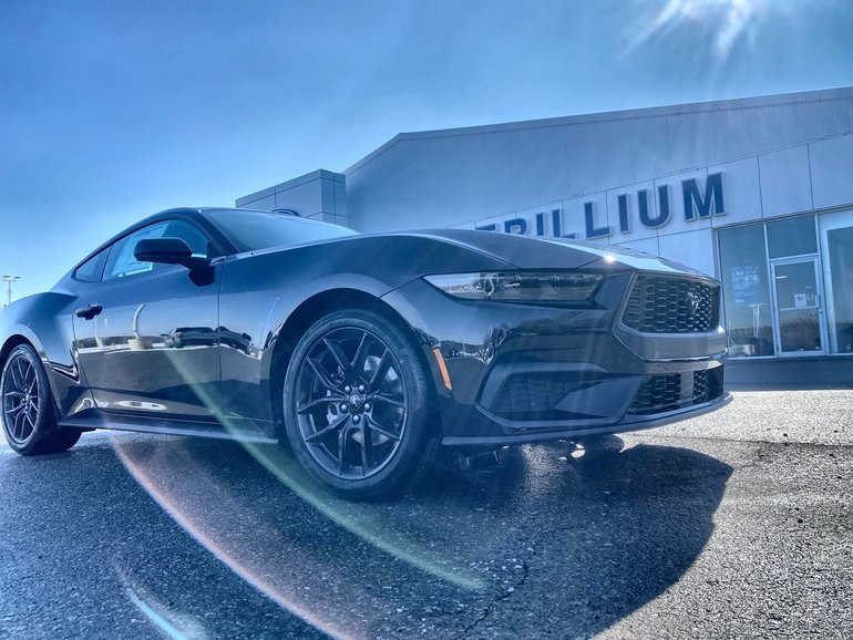 2026 Ford Mustang Fastback