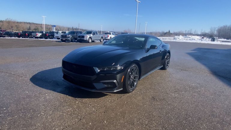 2026 Ford Mustang Fastback