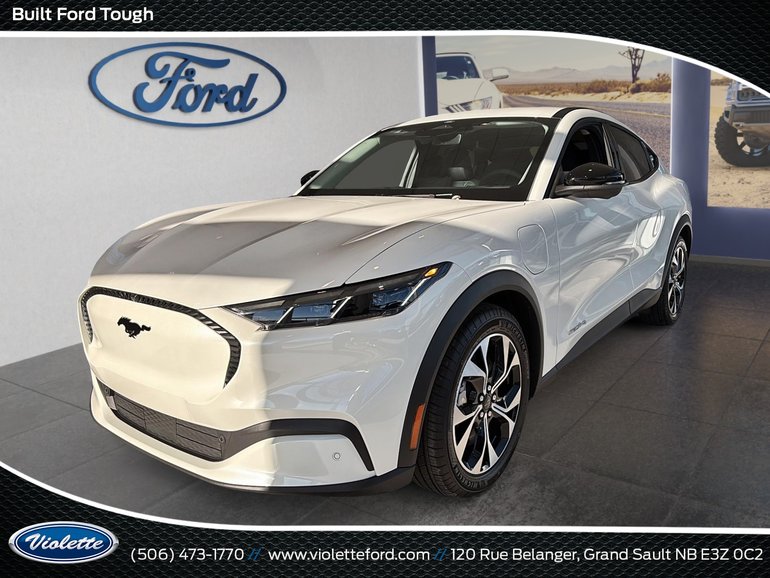 2025 Ford MUSTANG MACH-E