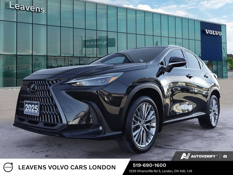 2025 Lexus NX