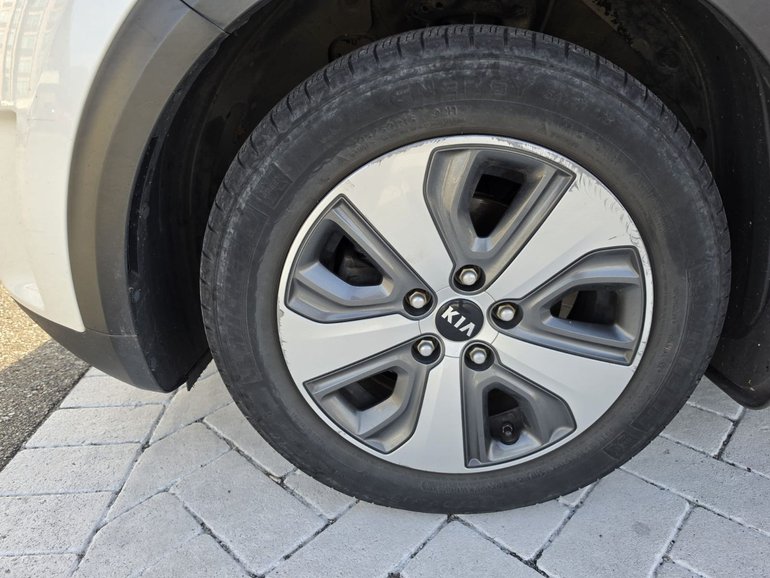 Image 17