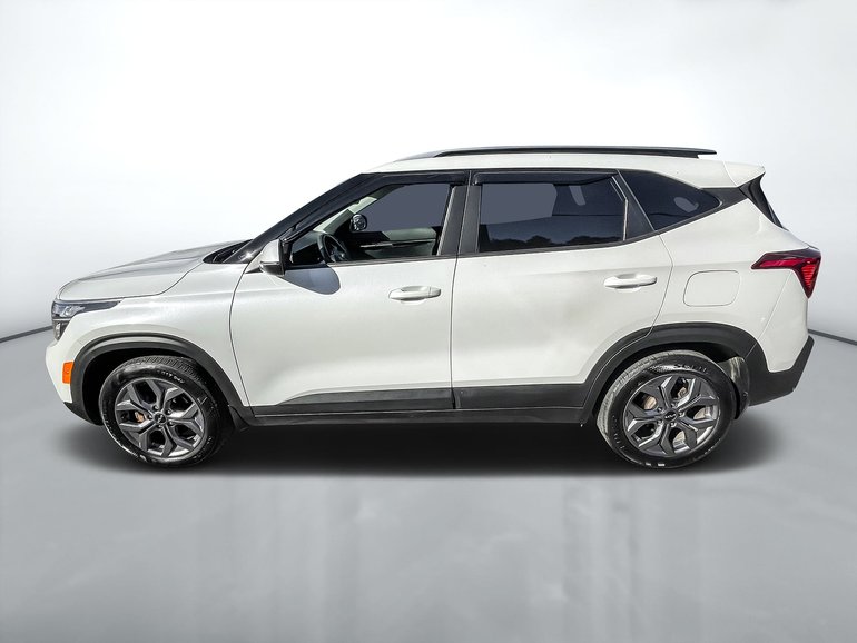 2024 Kia Seltos