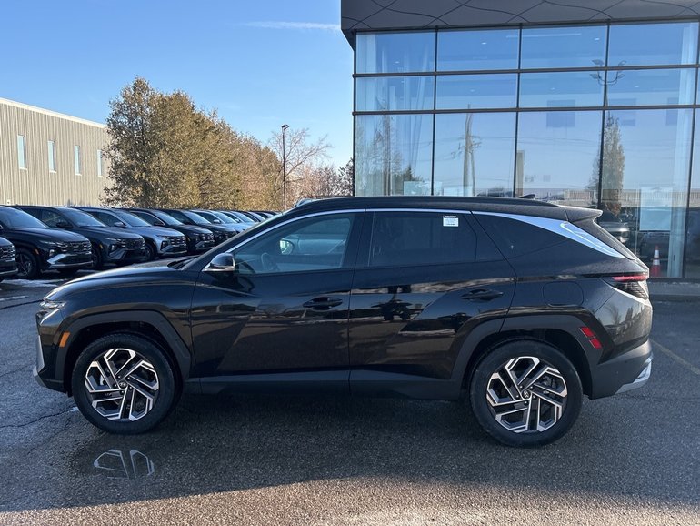 2025 Hyundai Tucson Hybrid