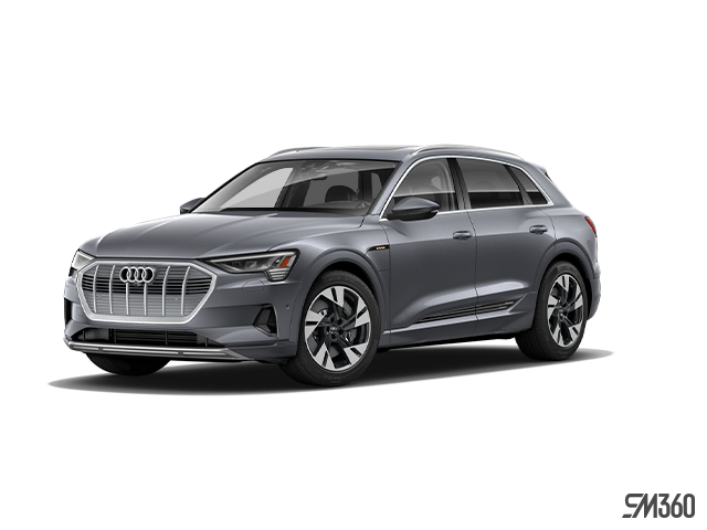 New 2019 Audi E Tron Sportback Technik Near Toronto 91 015
