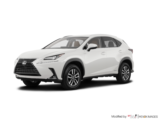 New 2019 Lexus Nx Nx 300h 64975 0 Erin Park Lexus