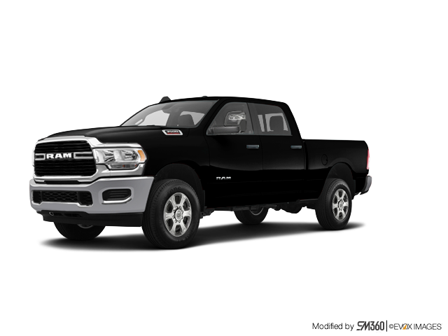 _vehicle_name