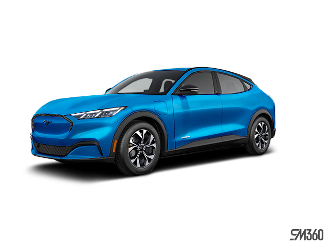 _vehicle_name