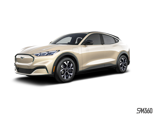 _vehicle_name