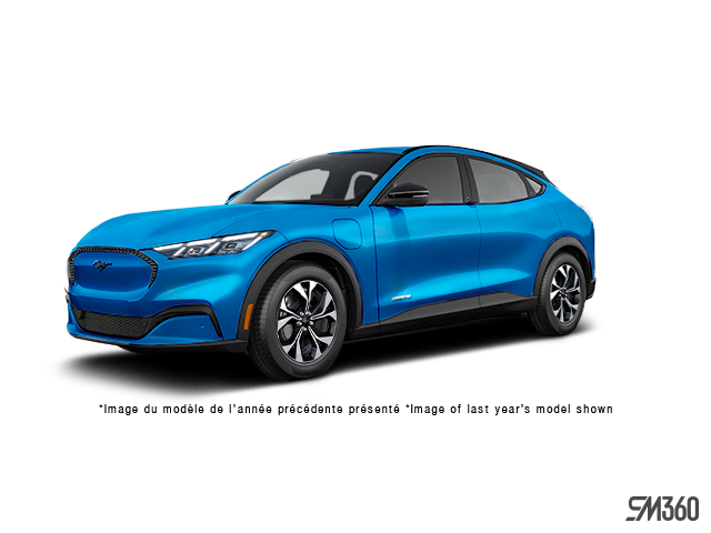 _vehicle_name
