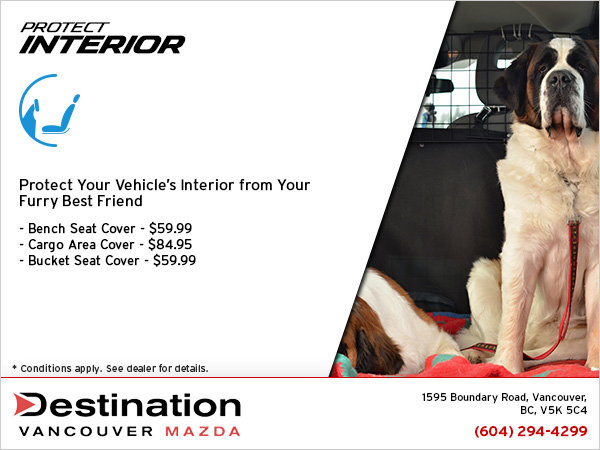 Protect the Interior of Your Vehicle