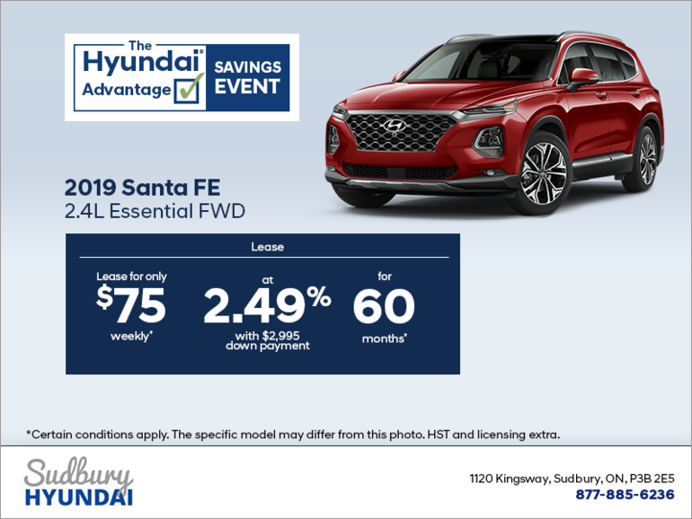 Get the 2019 Santa Fe