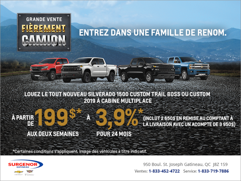 Grande vente fièrement camion