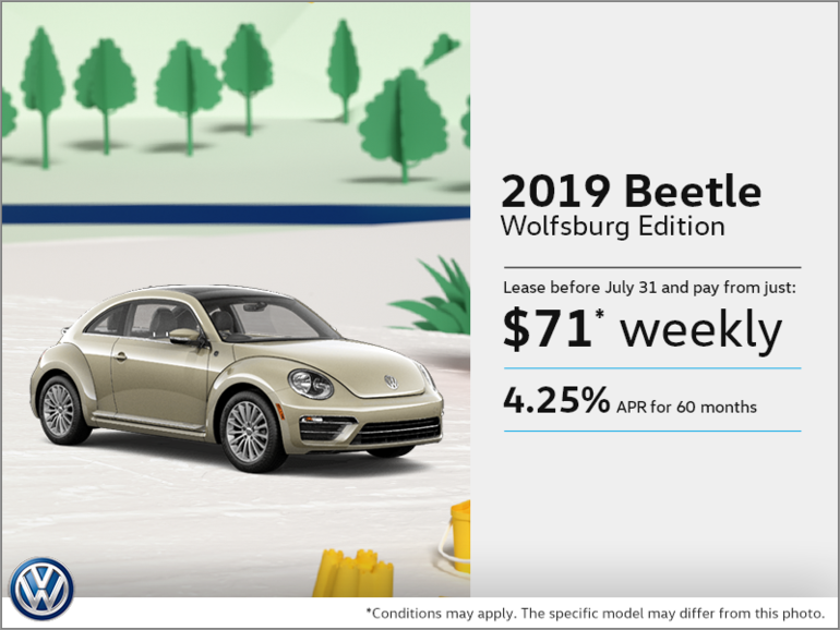Get the 2019 Beetle!