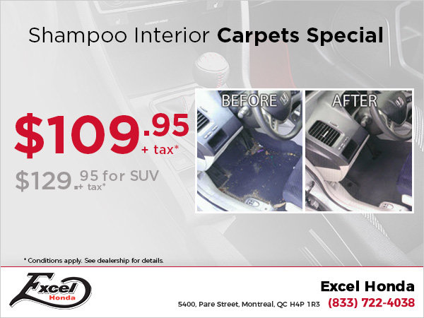 Carpets Shampoo