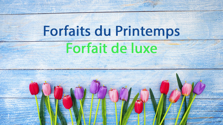 Forfaits du Printemps - Forfait de luxe