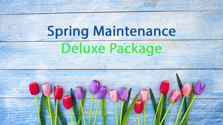 Seasonal Maintenance - Deluxe Package