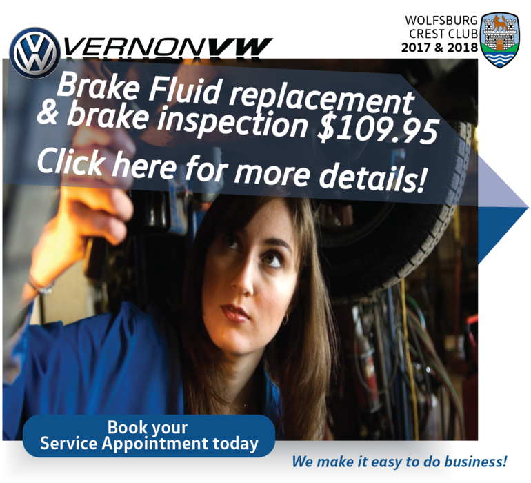 Brake Fluid replacement and brake inspection