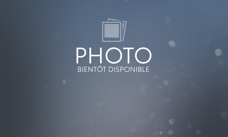 Hyundai Santa Fe Ultimate Calligraphy 2023