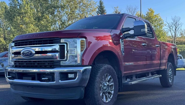 2019 Ford Super Duty F-250 SRW XLT Crew Cab Power Stroke 6.7L V8 Diesel in Quebec, Quebec - w770h435cpx