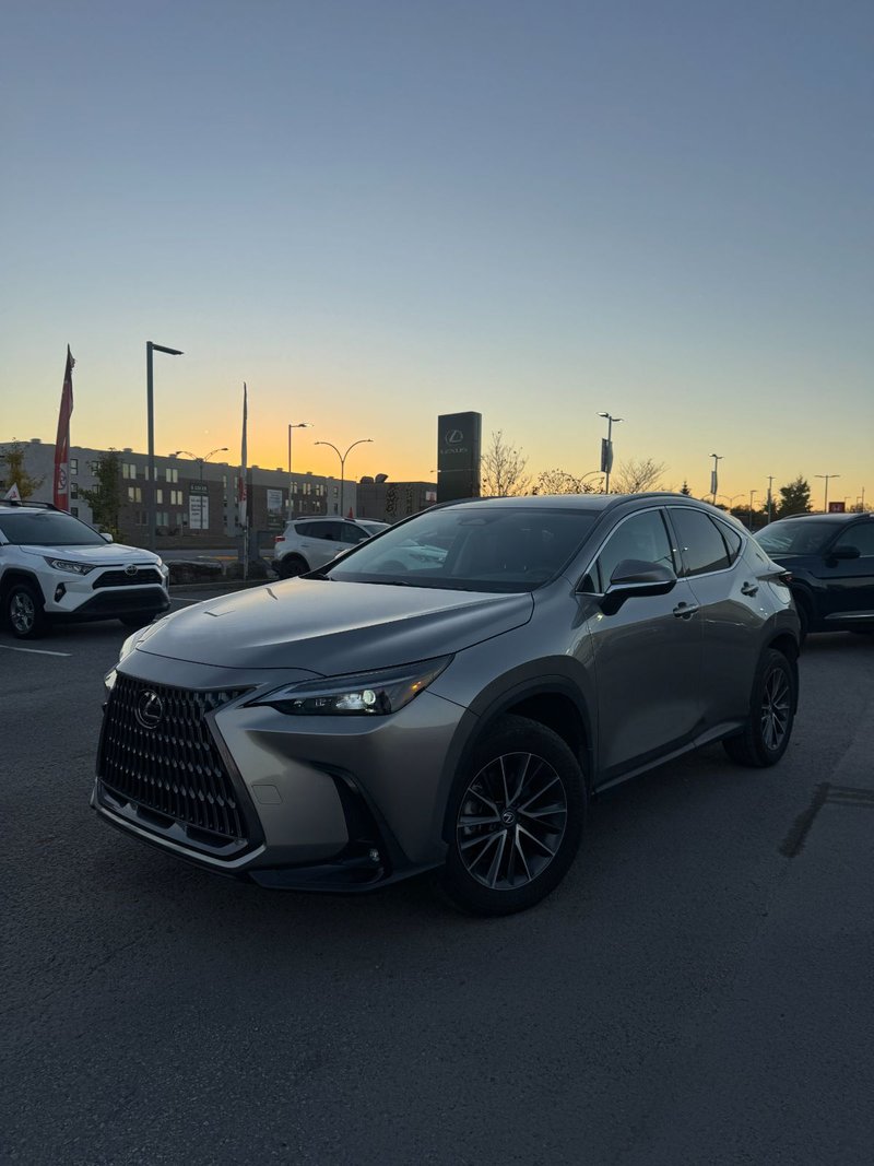2024 Lexus NX