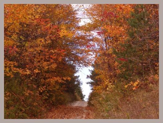 Best Fall Drives In Durham