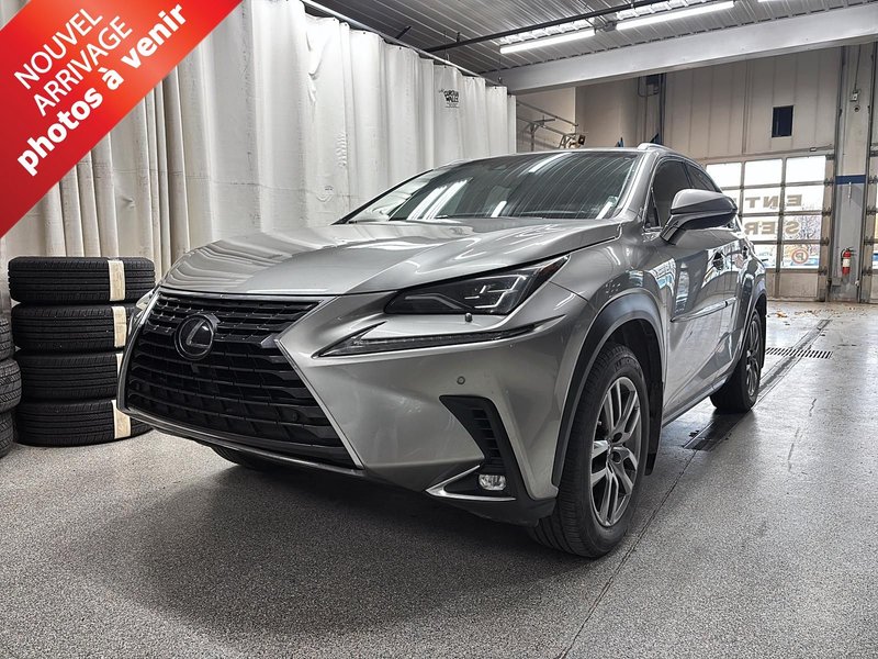 Vehicle Image 2019 Lexus NX