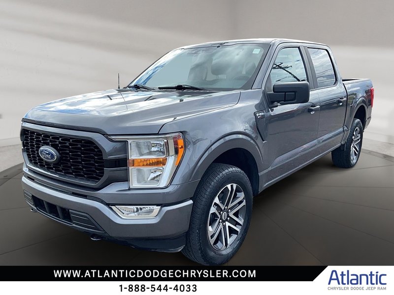 Image du véhicule Ford F-150 2021