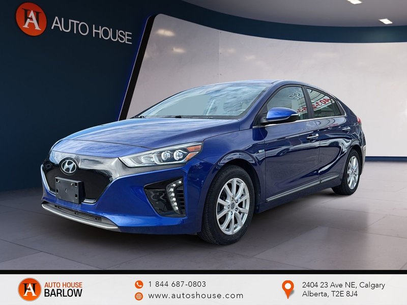 Vehicle Image 2019 Hyundai Ioniq Electric