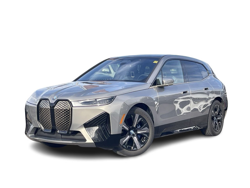 Vehicle Image 2023 BMW iX