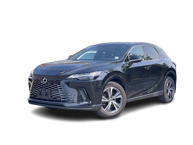Vehicle Image 2024 Lexus RX