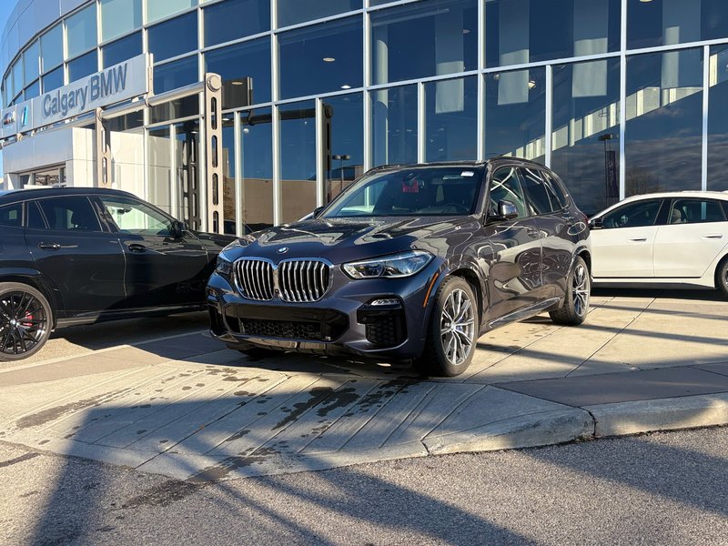 Vehicle Image 2019 BMW X5