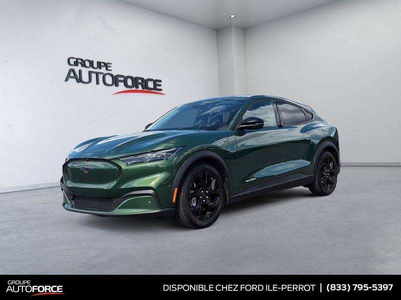 Vehicle Image 2024 Ford Mustang Mach-E