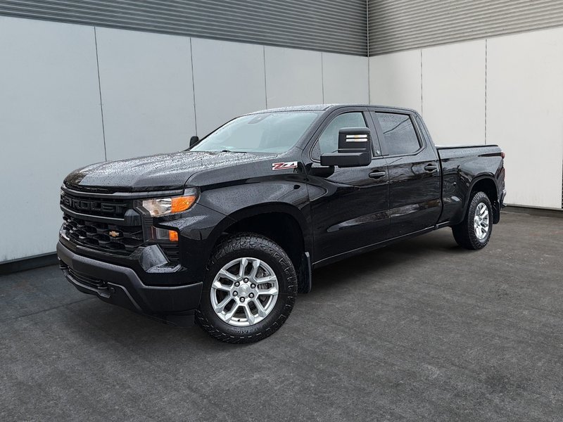 Image du véhicule Chevrolet Silverado 1500 2023