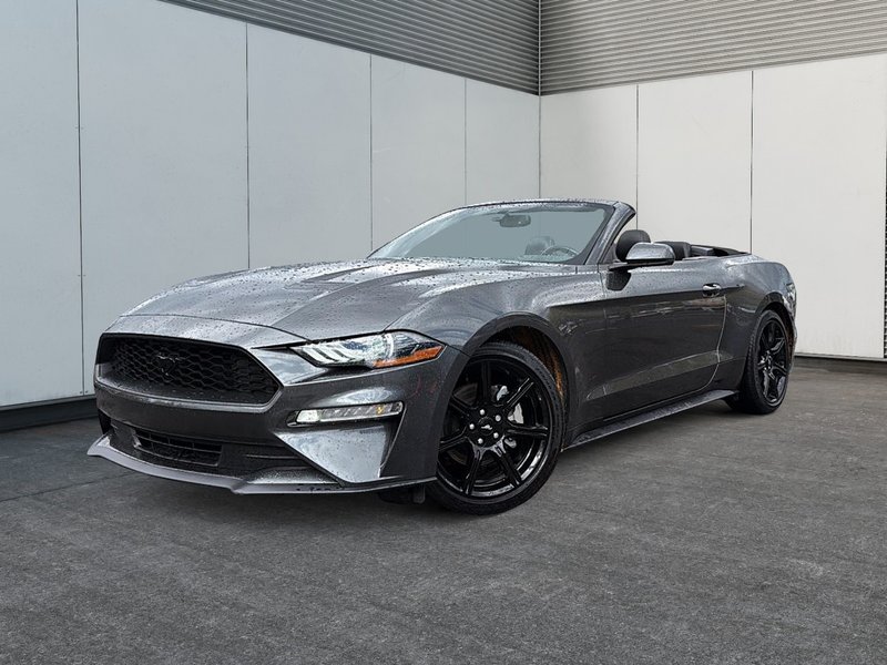 Image du véhicule Ford Mustang 2020