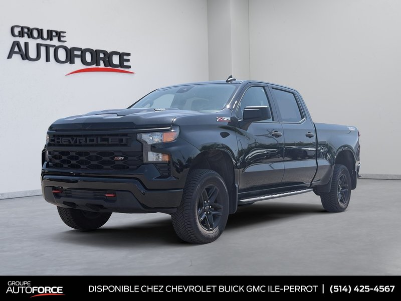 Vehicle Image 2024 Chevrolet Silverado 1500